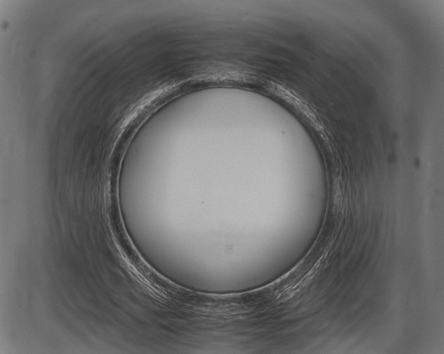X0000087580629200704271046