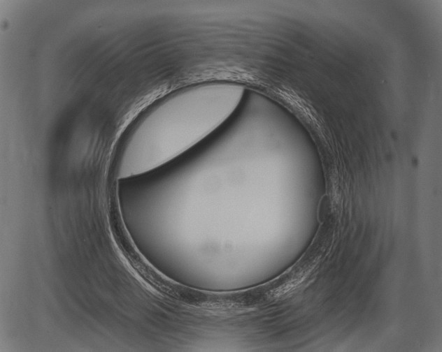 X0000087580630200704271046