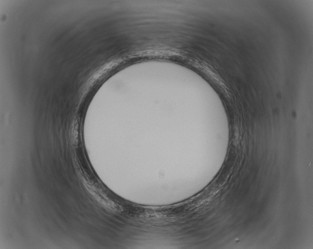 X0000087580632200704271046