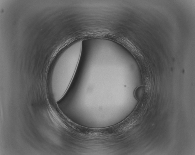 X0000087580634200704271046