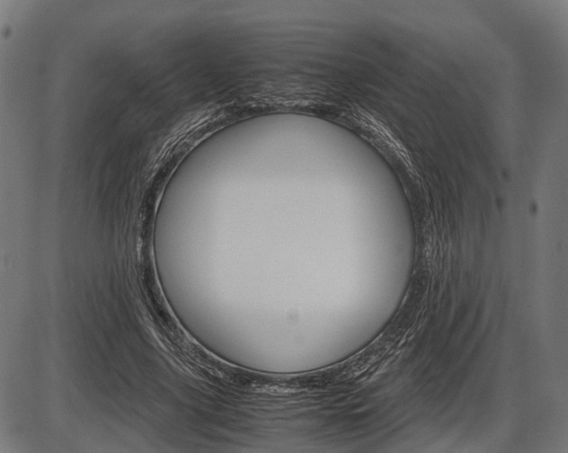 X0000087580635200704271046