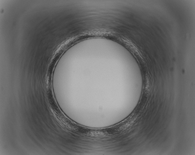 X0000087580636200704271046