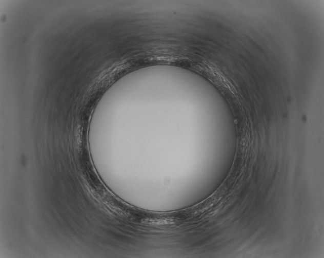 X0000087580639200704271046