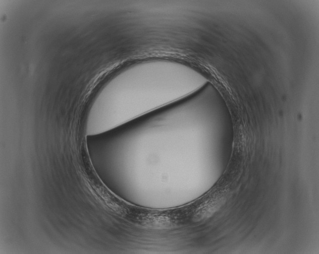X0000087580640200704271046