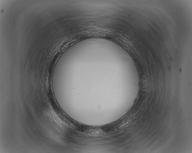 X0000087580642200704271046