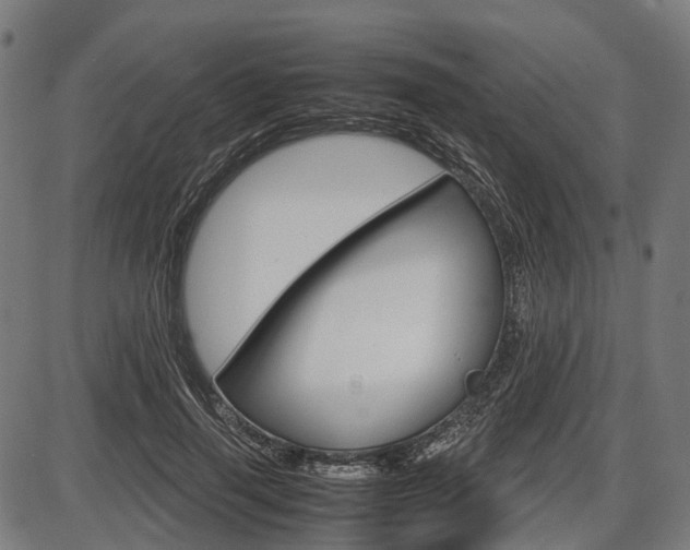 X0000087580645200704271046