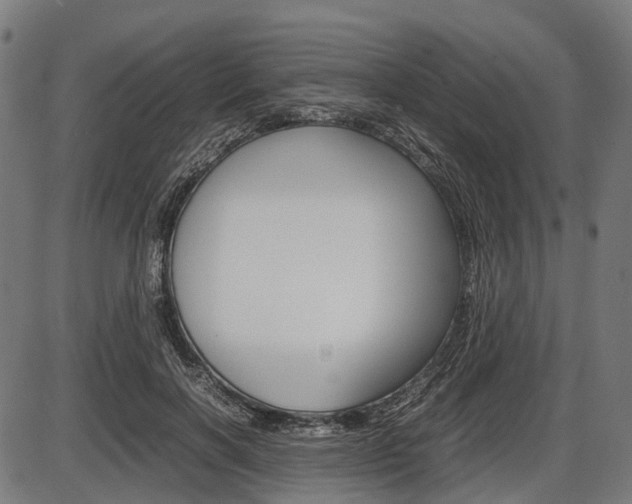 X0000087580646200704271046