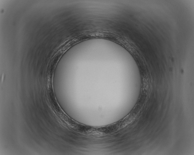 X0000087580648200704271046