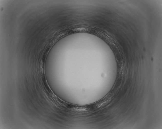 X0000087580651200704271046