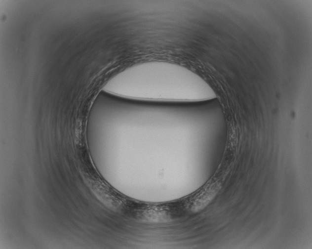 X0000087580656200704271046