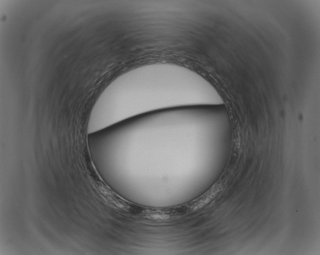 X0000087580658200704271046