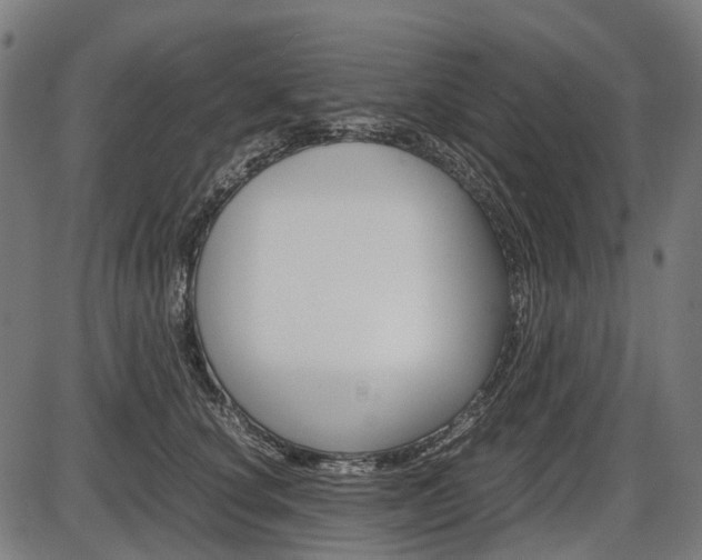 X0000087580660200704271046
