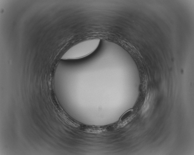 X0000087580661200704271046