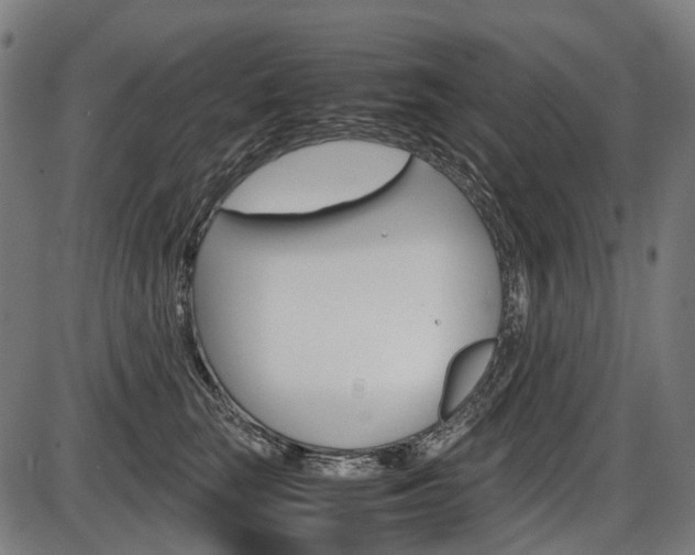 X0000087580663200704271046