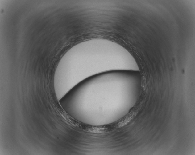 X0000087580664200704271046