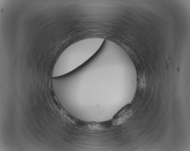 X0000087580666200704271046
