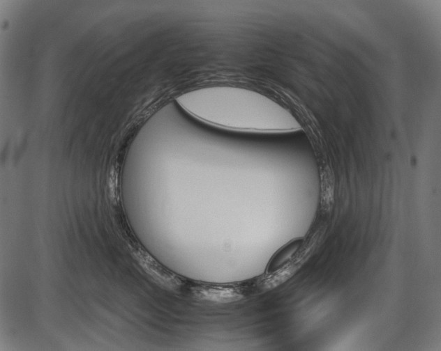 X0000087580669200704271046
