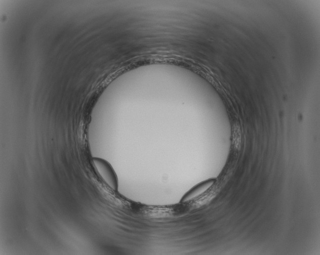 X0000087580670200704271046