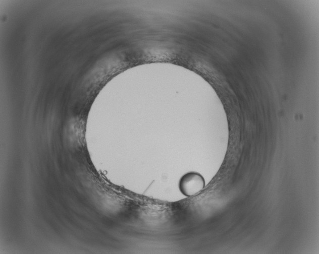 X0000087580672200704271046