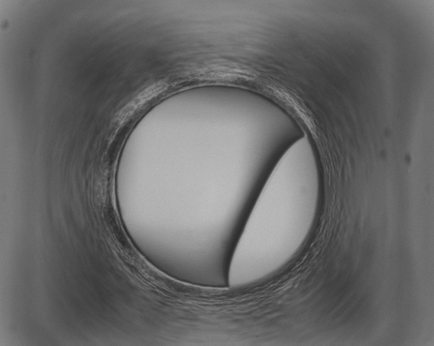 X0000087580675200704271046