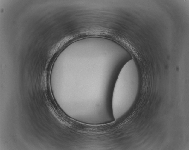 X0000087580678200704271046