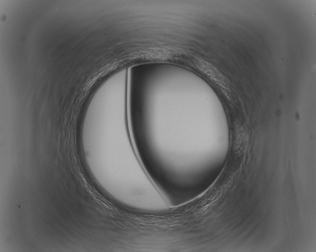 X0000087580681200704271046