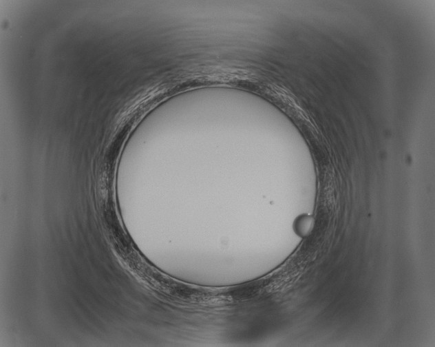 X0000087580683200704271045