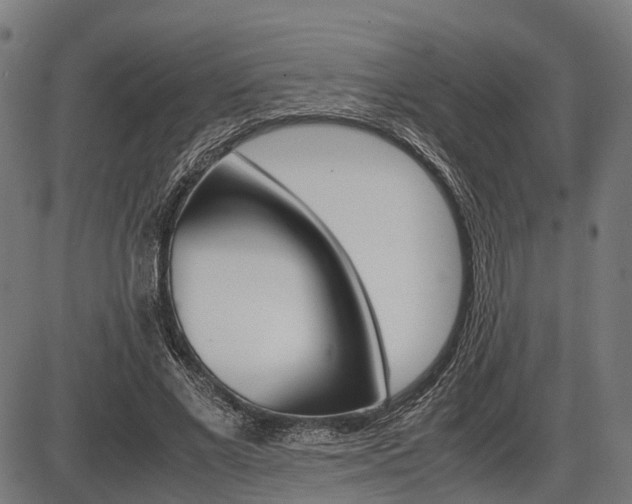 X0000087580685200704271045