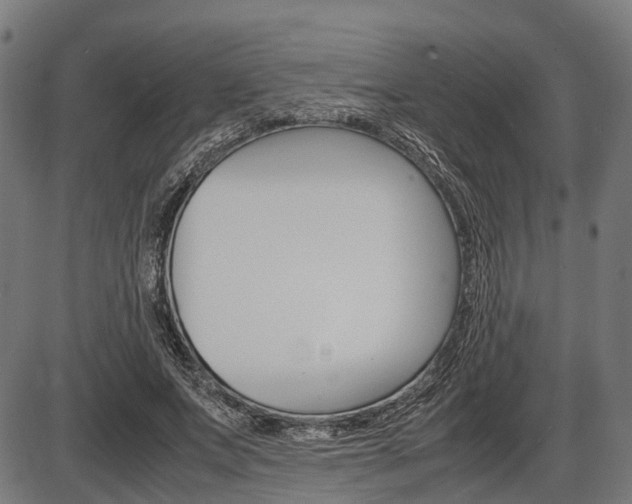 X0000087580687200704271045