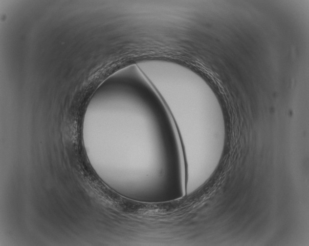 X0000087580689200704271045