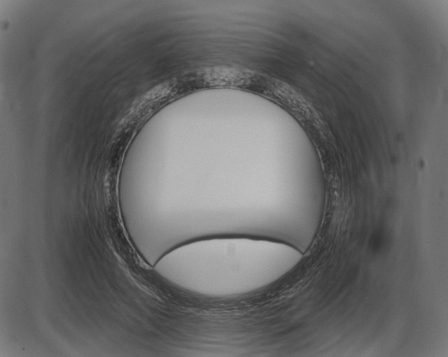 X0000087580690200704271045