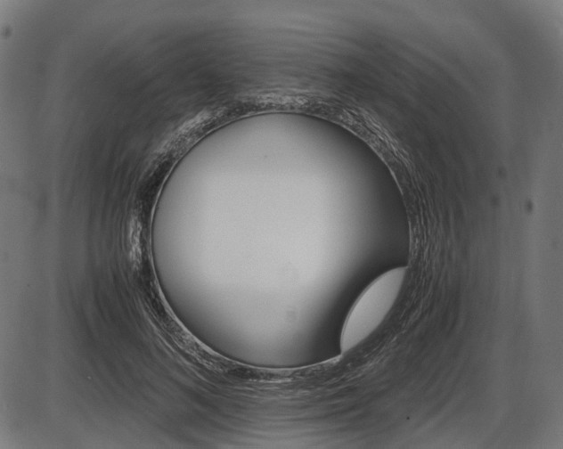 X0000087580692200704271045