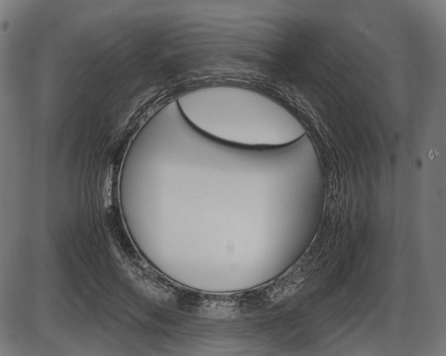 X0000087580694200704271045