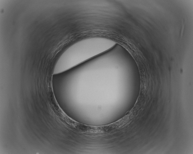 X0000087580696200704271045