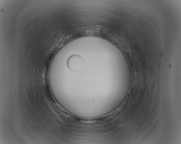 X0000087580698200704271045