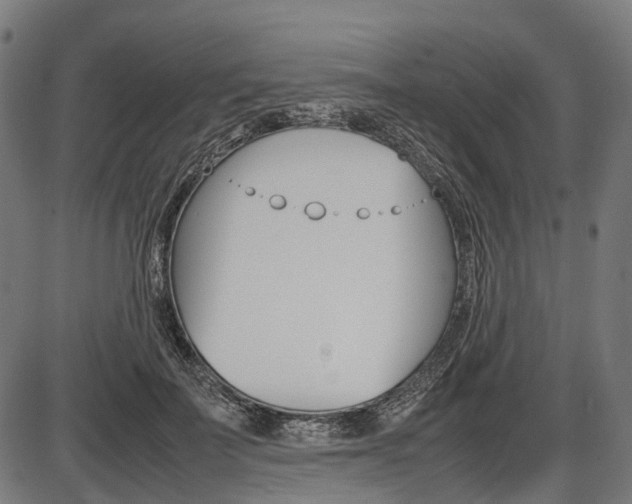 X0000087580699200704271045