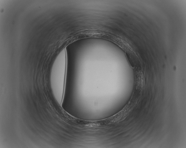 X0000087580700200704271045
