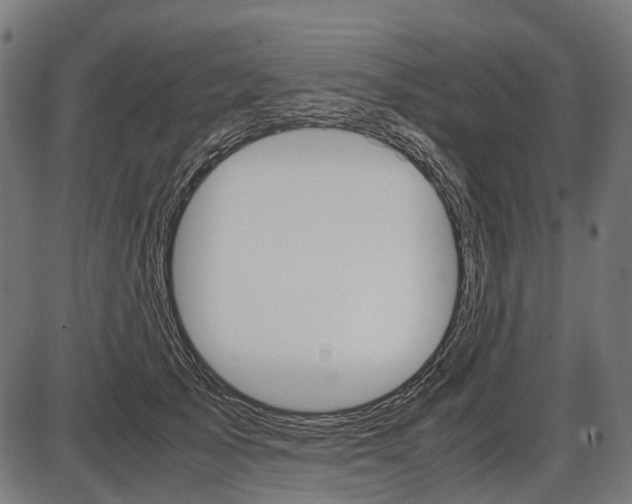 X0000087580705200704271045