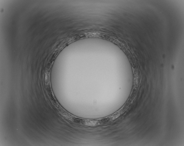 X0000087580709200704271045