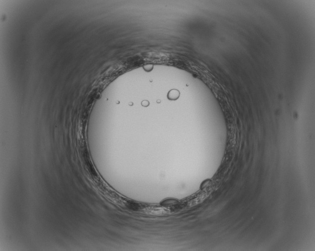 X0000087580711200704271045