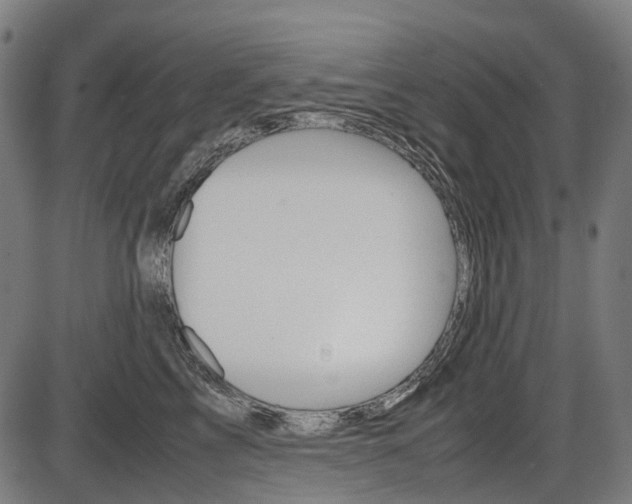 X0000087580713200704271045