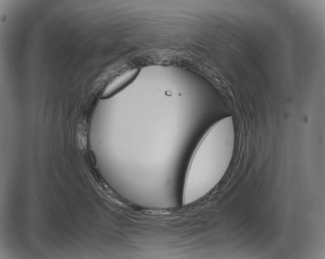 X0000087580719200704271045