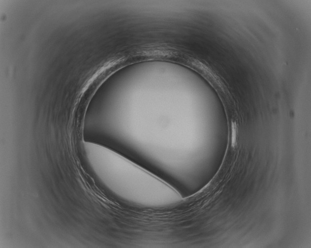 X0000087580723200704271044