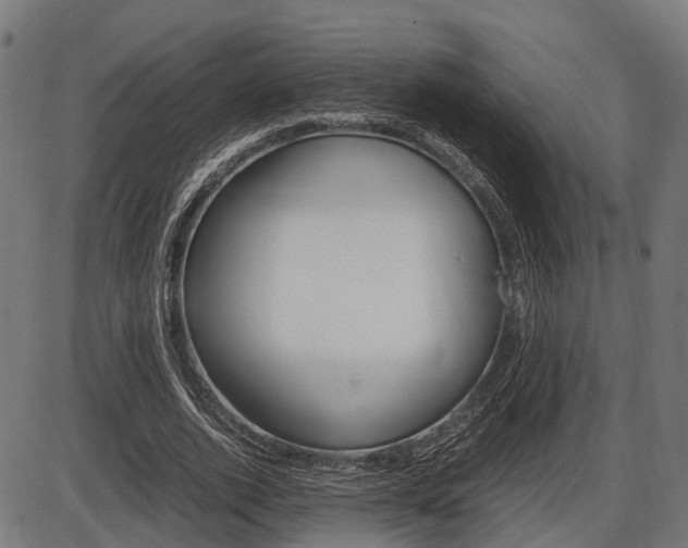 X0000087580728200704271044