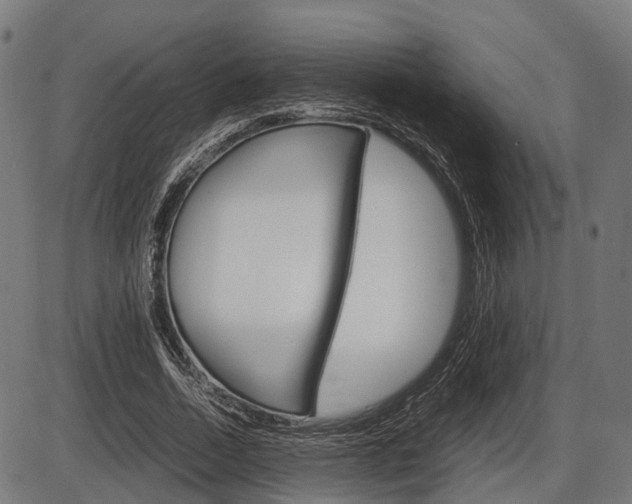 X0000087580730200704271044