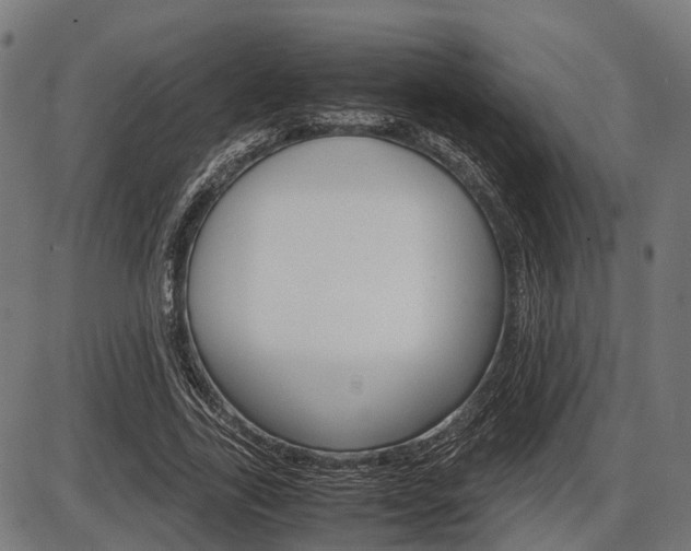 X0000087580731200704271044