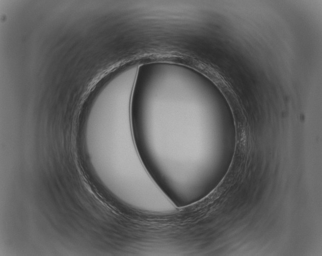 X0000087580732200704271044