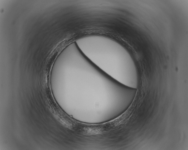 X0000087580733200704271044