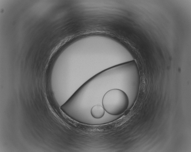 X0000087580734200704271044
