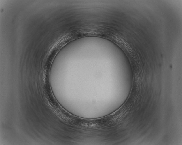X0000087580735200704271044
